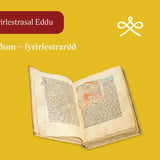 Hlykkjóttir baugar og lifandi taugar. Sparwenfeldts-Edda og skriftarlistin