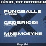 Pungballe + Geðbrigði + Mnemosyne live at Hitt Húsið