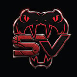 Stars Viper Cheer