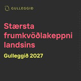 Vísindaferð Gulleggsins!