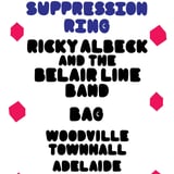Eddy Current Suppression Ring @ Woodville Town Hall