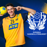 Sverige-Österrike