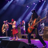 Slash n' Roses