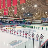 Eagle River 2026 3rd Line Hockey Draught Tournament