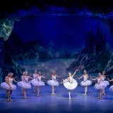 The International Ballet Company Berlin opfører Svanesøen