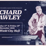 Richard Hawley: Arches Bar Experience
