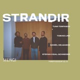 Strandir