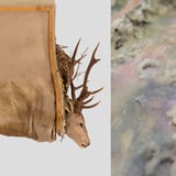 Leiðsögn listamanna | Lekir líkamar, sameig­in­legir heimar