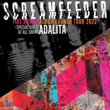 Screamfeeder: Port Kembla