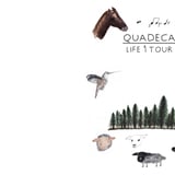 Quadeca - Life 1 Tour