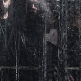 WOLVES IN THE THRONE ROOM