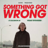 Something Got Wrong – Et soloshow av Vegar Tryggeseid