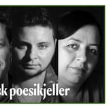 Palestinsk poesikjeller