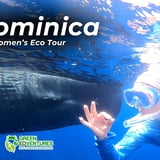 Dominica: Snorkel with Sperm Whales Women's Tour (2 Sessions)