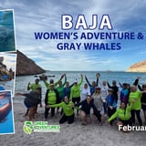 Women's Baja Adventure & Gray Whales Tour (La Paz, Mexico)