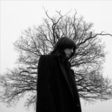 Airwaves : Heartworms