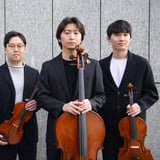 Amaryllis Quartett