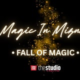 Magic In Mizner - Randy Goodman