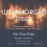 Luciamorgen
