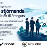 Rýni stjórnenda. Bestu leiðir til árangurs.
