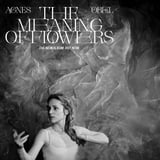 Agnes Obel