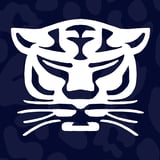 Birmingham Panthers vs London Mavericks