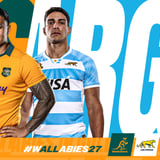 Wallabies v Argentina