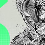 3 YEARS OF SYBER: BRISBANE