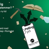 Peiling på...Fritt utdanningsvalg eller samfunnet som bestemmer? 