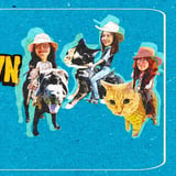 The Great Folk Music Smackdown: Vol II - Fist City! Live in Little Alberts