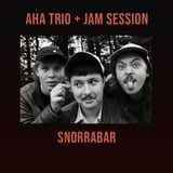 AHA Tríó á Snorrabar + Jam Session