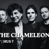 The Chameleons | Hus 7