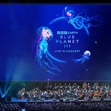 UNSER BLAUER PLANET III - Premium Seats