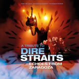 A Tribute To Dire Straits