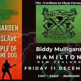 The Chris Cornell Collection - A tribute to the voice of a generation 
