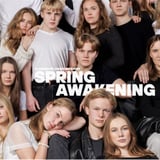 Spring Awakening, El Musical
