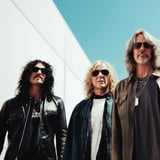 The Dead Daisies