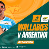 Wallabies v Argentina
