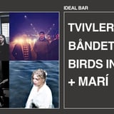 Tvivler + Båndet + Birds in Flight + Marí - VEGA