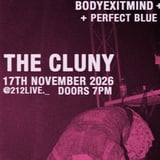 Charity Gig - Newcastle Women's Aid and Viva la femme.