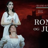 Swan Lake Symphony of Lights - Grand Kyiv Ballet