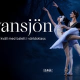 Svansjön - en kväll med balett i världsklass