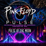 Pink Floyd Pulse be Pulse of The Moon