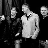 Inspiral Carpets