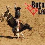 Buckin B Bullriding