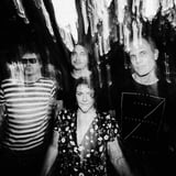 Screamfeeder