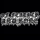 Of Feather and Bone + Civerous