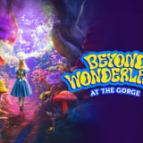 Beyond Wonderland at the Gorge