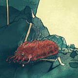 Complexity Fest 2026