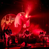 Zuiderpark Live: Pink Project